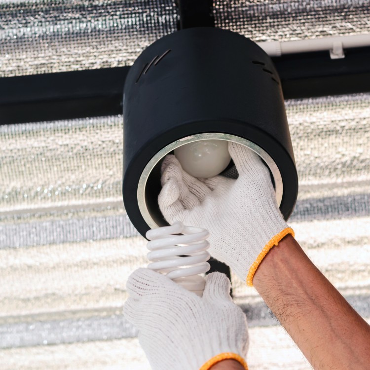 Outdoor Lighting in Omaha, Nebraska Outdoor Lighting in Omaha, Nebraska